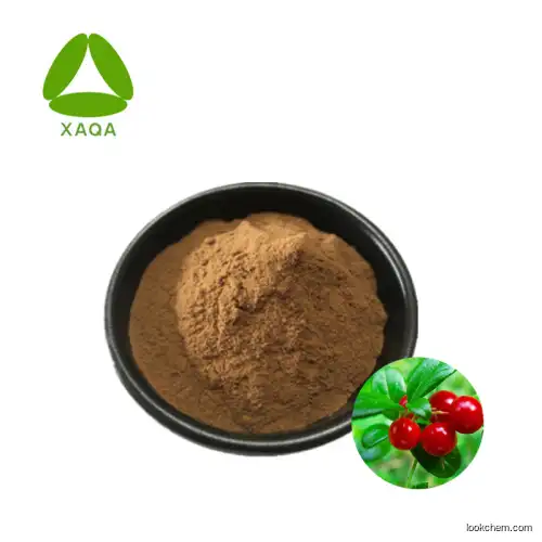Best Price Uva Ursi Leaf (Xiong Guo) Extract Arbutin Powder 30:1