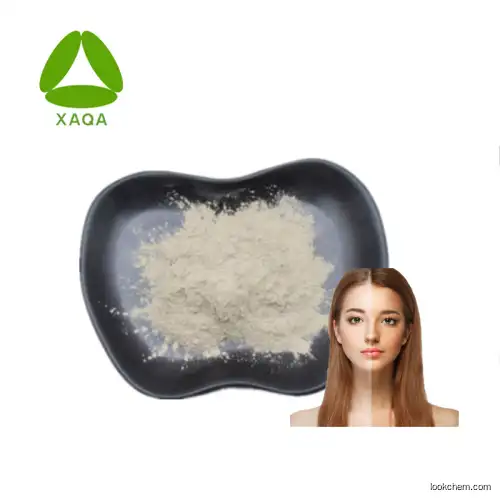 Full Stock Galla Chinensis Extract Tannic Acid Powder 93%
