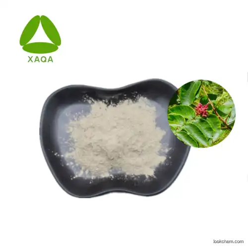 Free Samples Galla Chinensis Extract Tannic Acid Powder 98%
