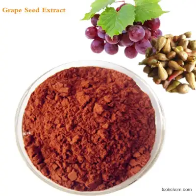 Antioxidant Procyanidine Grape Seed Extract CAS 84929-27-1