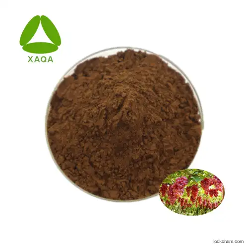 OEM Supply Grape Seed Extract Procyanidin Powder 10:1