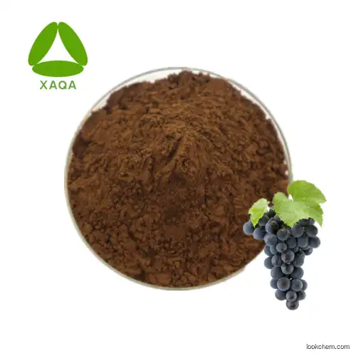 Quick Delivery Grape Seed Extract Procyanidin Powder 30:1
