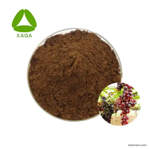 Quick Delivery Grape Seed Extract Procyanidin Powder 30:1