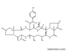 ECHINOCANDIN B