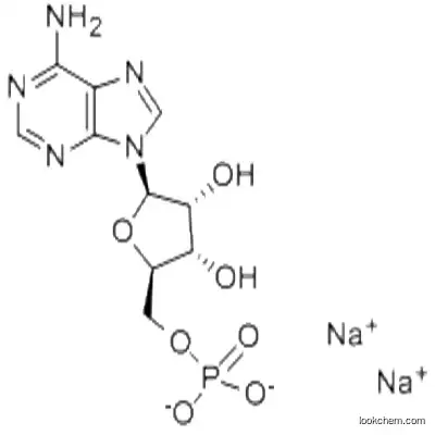 AMP / Adenosine 5-Monophosphate Disodium Salt Disodium CAS4578-31-8