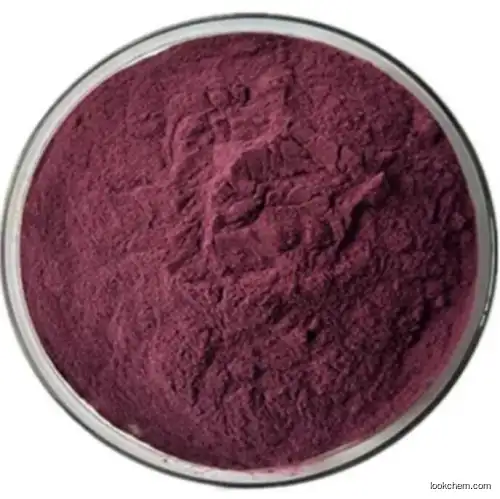 100% Pure Natural Red Beet Root Extract for Beverage Beta Vulgaris L. /Betaine