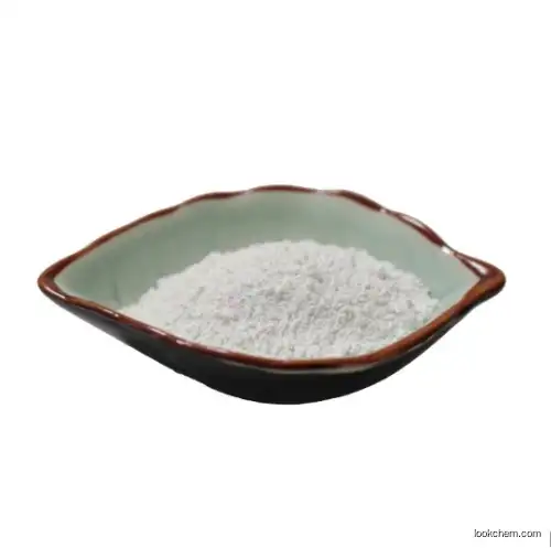 High Quality L-Glutamic acid a-tert butyl ester 45120-30-7 CAS NO.45120-30-7