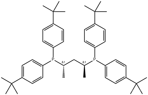 Phosphine, [(1S,3S)-1,3-dimethyl-1,3-propanediyl]bis[bis[4-(1,1-dimethylethyl)phenyl]- (9CI)