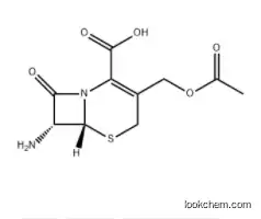 7-Aminocephalosporanic acid