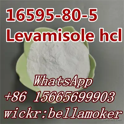 Pharmaceutical Intermediate CAS 16595-80-5 Levamisole