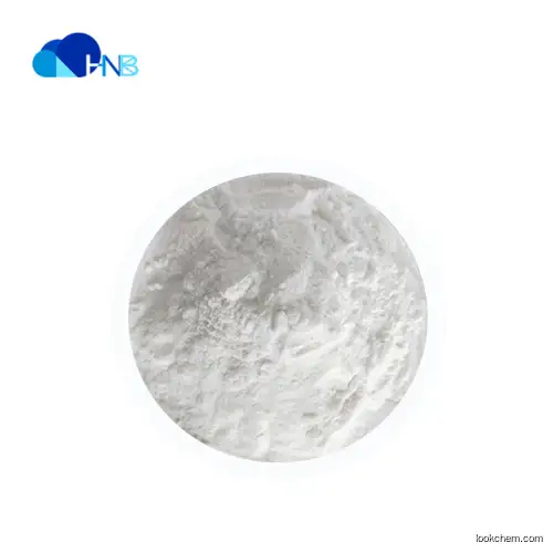 ISO Quality Ampicillin Powder with factory price CAS 69-53-4
