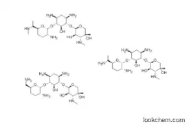 Gentamicin