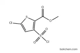 Methyl 5-Chloro-3-Chlorosulfonyl-Thiophene-2-Carboxylate