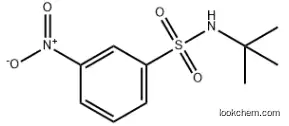 N-T-BUTYL 3-NITROBENZENESULFONAMIDE 424818-25-7 98%