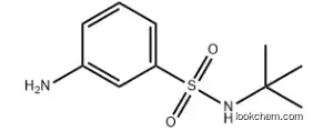 3-AMINO-N-(TERT-BUTYL)BENZENE SULFONAMIDE 608523-94-0 98%
