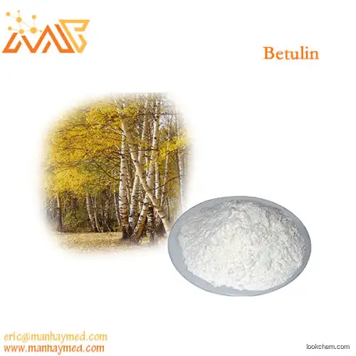 Natural pure supplement birch bark extract 98% betulin(473-98-3)