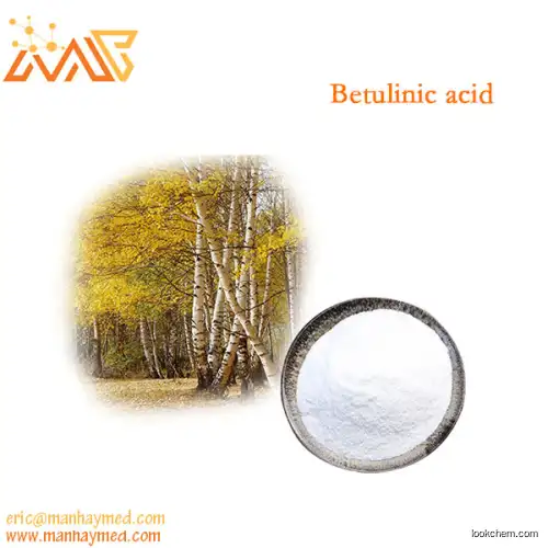 Supply Birch bark extract Betulinic acid 98%(472-15-1)