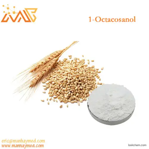 Supply Wheat extract 1-Octacosanol 98%