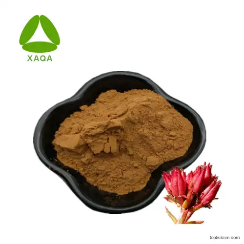 High Quality Hodiola Rosea Extract Salidroside Powder 50:1