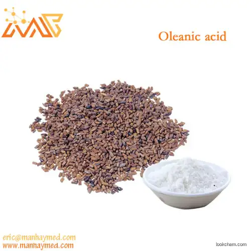 Supply Glossy Privet Fruit Extract  Oleanic acid 98% 508-02-1