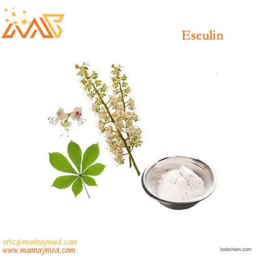 Supply Horse Chestnut Extract Esculin 98% 531-75-9