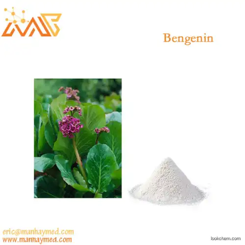 Supply Bergenia Extract Bengenin 98% 477-90-7