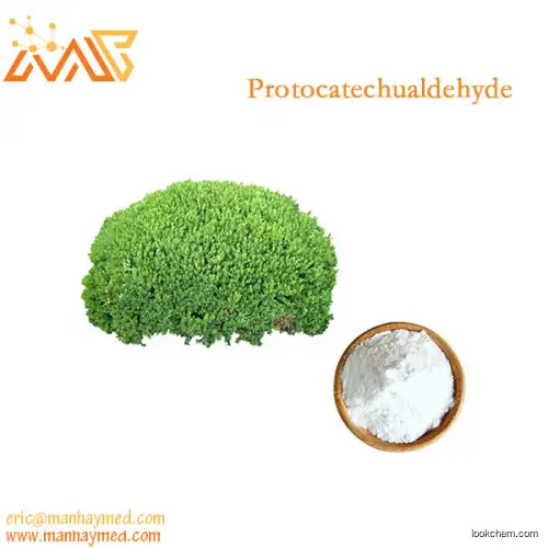 High quality Protocatechualdehyde CAS 139-85-5 3,4-Dihydroxybenzaldehyde
