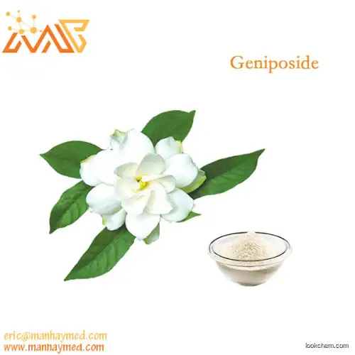 Supply Gardenia Florida Extract  Geniposide 98% 24512-63-8