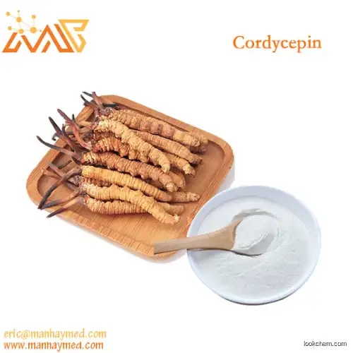 Supply Cordyceps Extract Cordycepin 98% 73-03-0