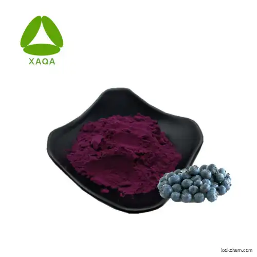 Full Stock Blueberry Extract Powder 10:1