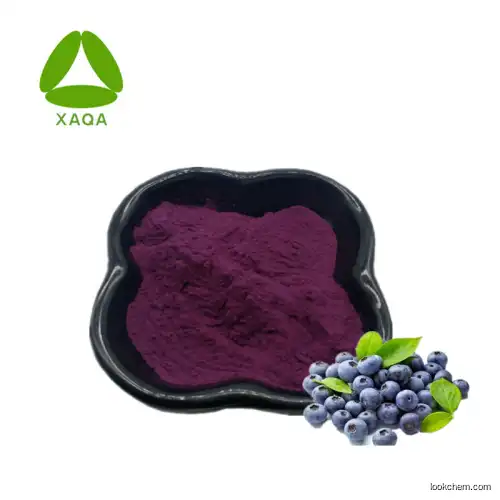 Full Stock Blueberry Extract Powder 10:1