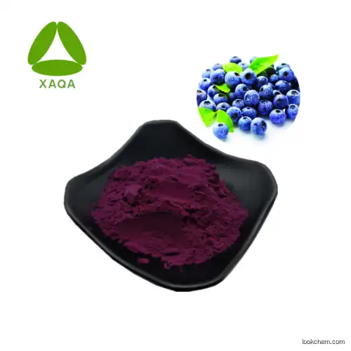 Door to Door Blueberry/Powdered Bilberry Fruit Extract Powder 20:1