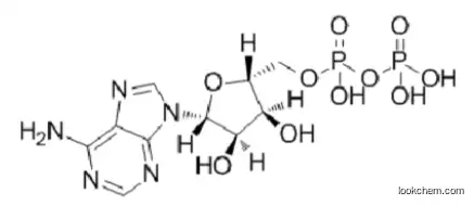 Adenosine 5'-(trihydrogen diphosphate) 58-64-0