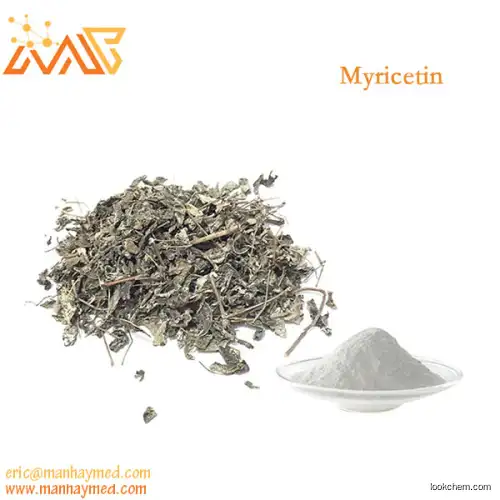 Supply Bayberry bark Extract Myricetin 98% 529-44-2