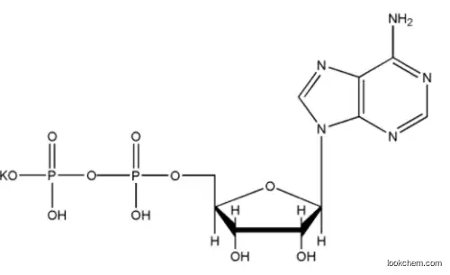 Adenosine 5'-diphosphate monopotassium salt 72696-48-1