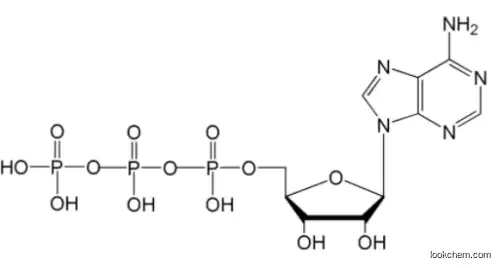 Adenosine 5’-triphosphate 56-65-5
