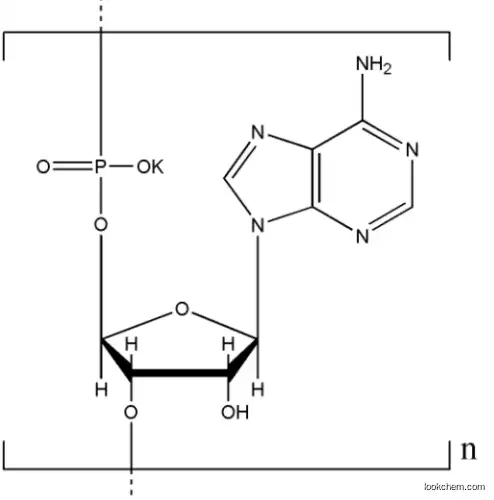 Poly A-K 26763-19-9 Polyadenosinic acid potassium salt