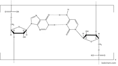 Poly I:C Potassium Salt 31852-29-6