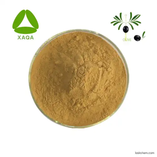 China Factory Supply Olive leaf Extract Oleuropein Powder 98%