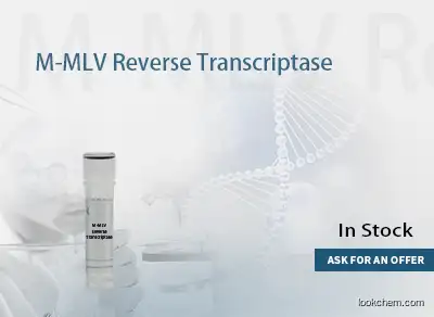 M-MLV RTase (RNase H-) 200U/uL(9068-38-6)