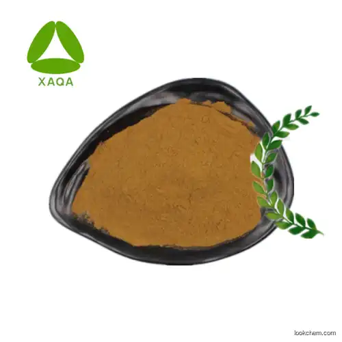 High Quality Olive leaf Extract Powder 50:1