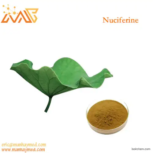 Supply lotus leaf extract NUCIFERINE 98% 475-83-2