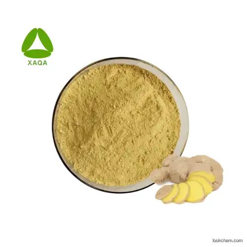 Best Price Ginger Root Extract 6-Gingerol Powder 10%