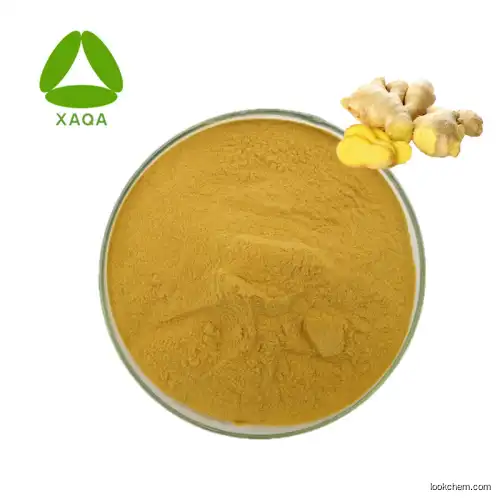 Best Price Ginger Root Extract Ginger Powder 30:1