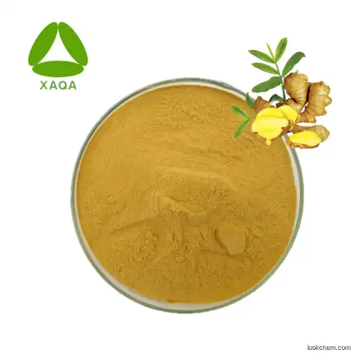 Best Price Ginger Root Extract Ginger Powder 30:1