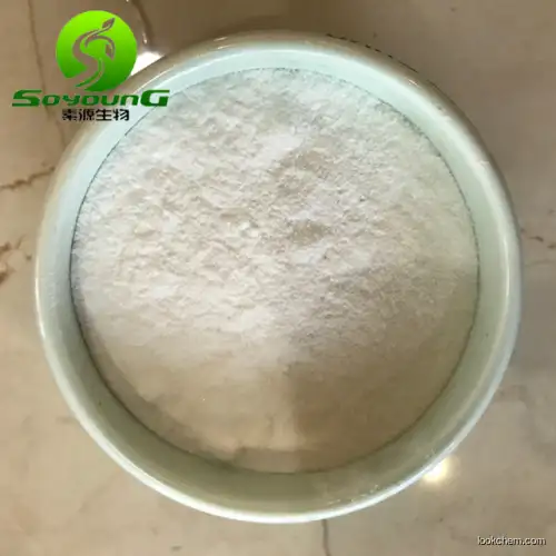 Pramiracetam powder CAS 68497-62-1