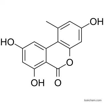 U-[13C14]-Alternariol-25 μg/mL-Methanol
