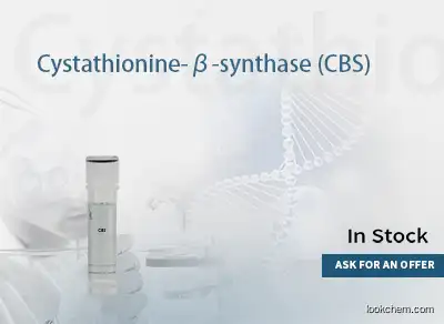 Cystathionine β-synthase