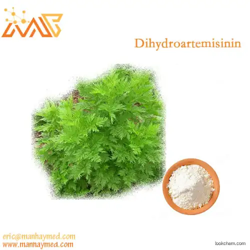 Supply Artemisia annua extract DHQHS 2 98% 71939-50-9