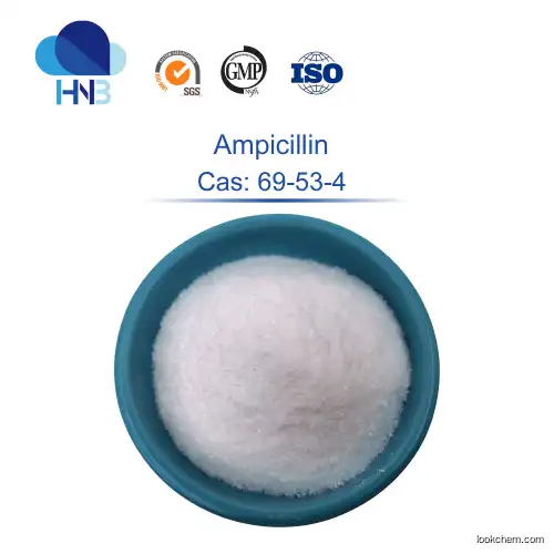 ampicillin CAS 69-53-4